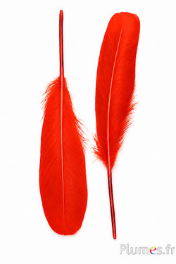 Zwaan zijde - 25-30 cm - oranje rood